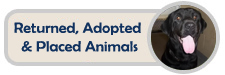 View our returned, adopted, and placed animals